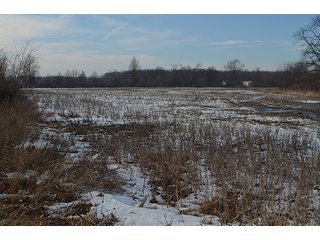 Property photo 25 - FARMLAND AUCTION, 60+/- Acres in 6 Tracts ranging from 4 to 20 acres & in combinations!
